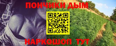 крисы Дубна