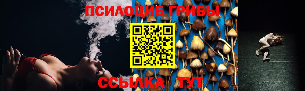 Галлюциногенные грибы Psilocybine cubensis Зеленокумск